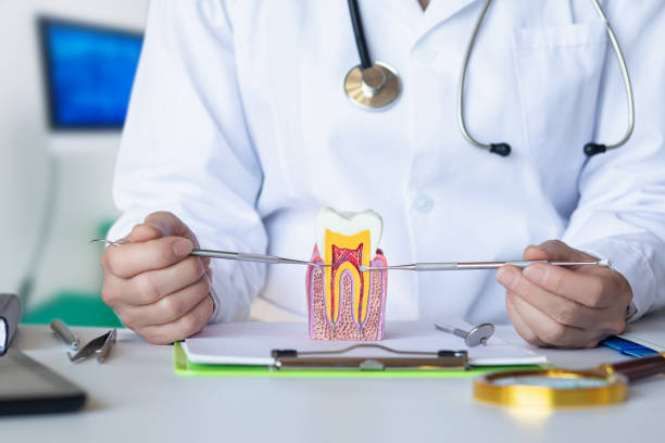 Best Emergency Dental Care for Trauma or Injury in Jackson, WY